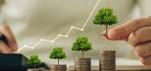 Finance Tax Consultation